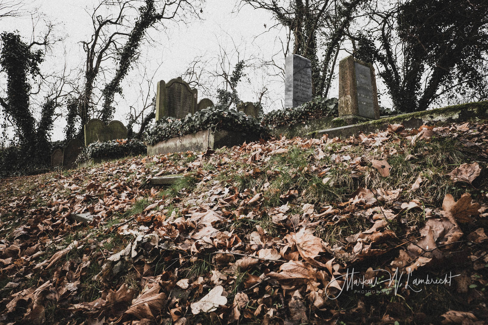 Dassel, Jüdischer Friedhof